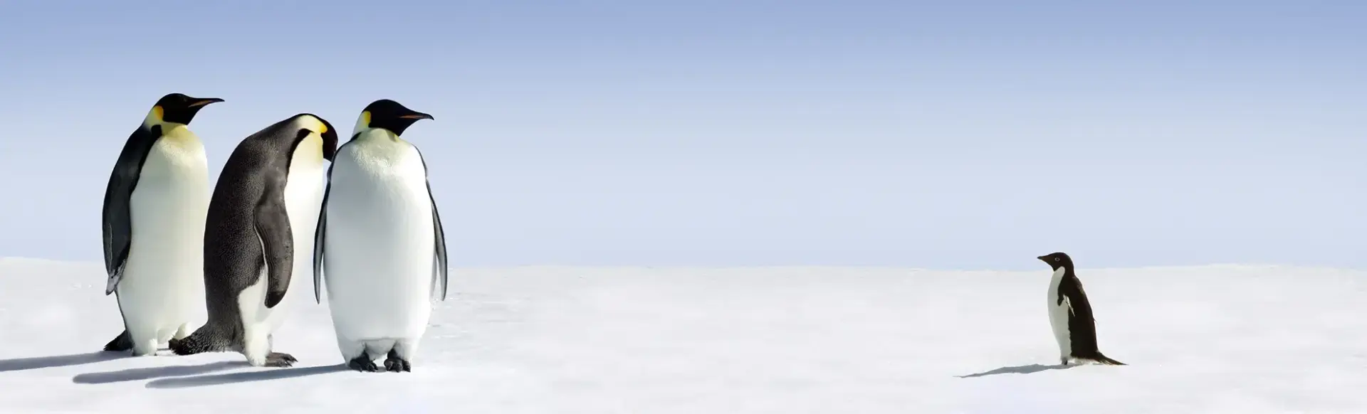 2 Umzugshelfer lächeln in Kamera