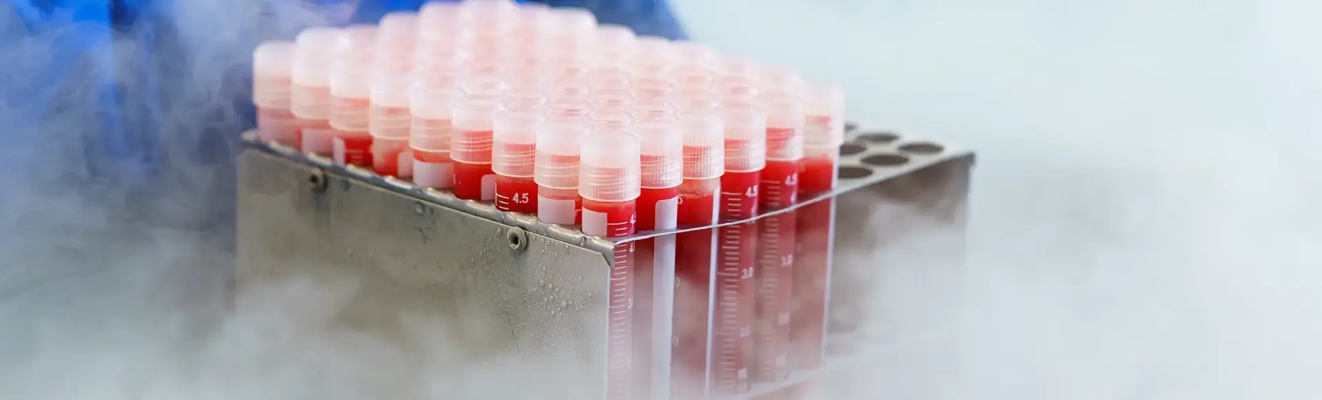 Umzugshelfer prüft Umzugsliste