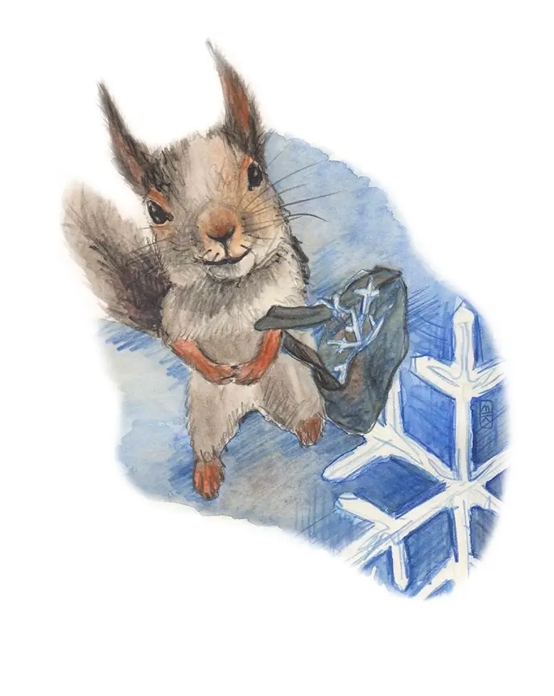 Illustration Eichhörnchen